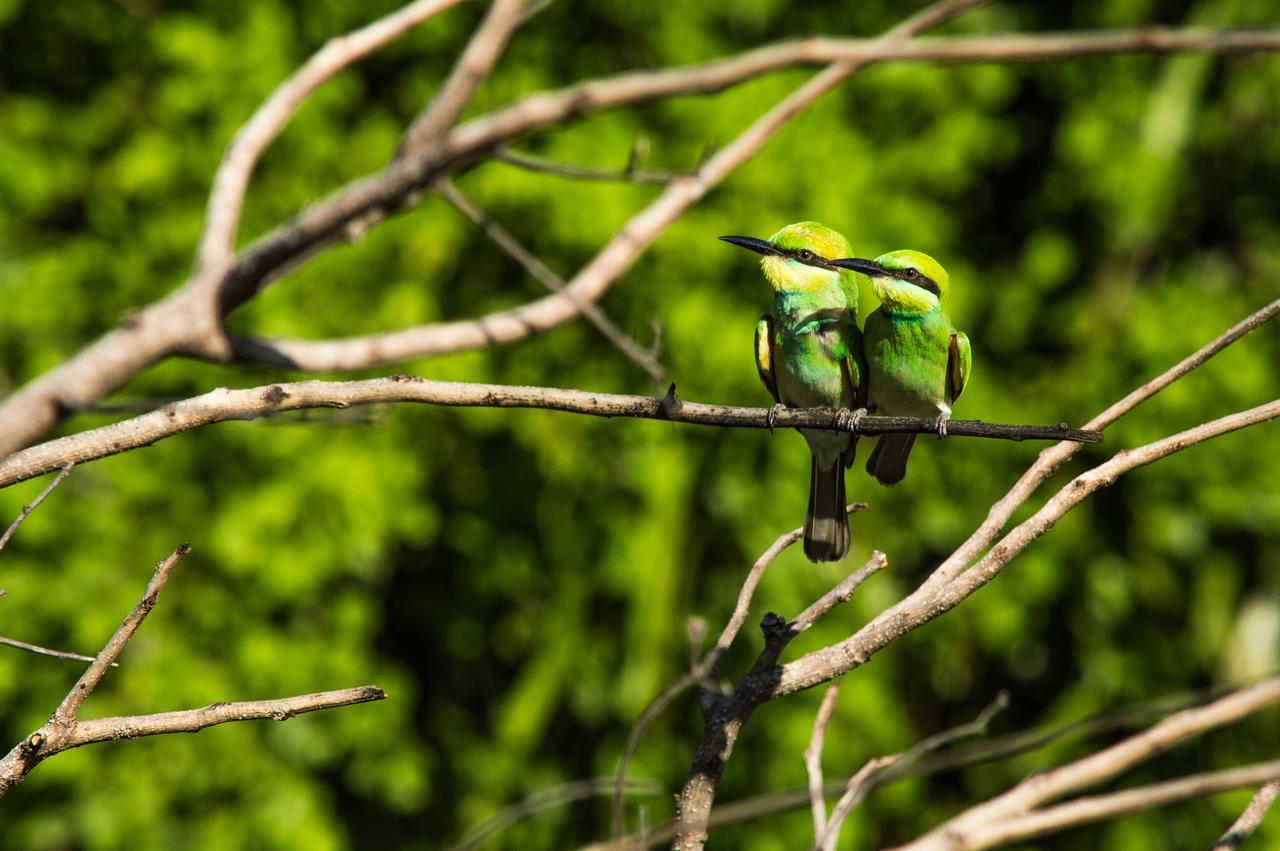 Nice To Meet Home Stay Хабарана Экстерьер фото